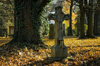 <p>Der Gemeinderat Bern hat die öffentliche Vernehmlassung zur umfassenden Überarbeitung der städtischen Friedhofsgesetzgebung gestartet. Mit der…</p>
