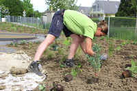 <p>Pflanzen werden immer wieder als Aushängeschild des Garten- und Landschaftsbaus gezeigt. Dennoch wird das Thema oft als notwendiges Übel ange­sehen.…</p>