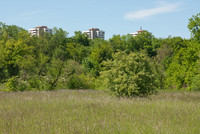 Naturschutzgebiet Reinacherheide: