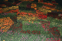 <p>Nach fünf Ausstellungs-tagen schloss die Giardina am letzten Sonntag ihre Tore. 260 Aussteller aus acht Ländern präsentierten bis am 20. März 2011 in…</p>