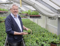 <p>Man kann ihn als den «letzten Mohikaner» der schweizerischen Blumenzüchtung bezeichnen. Hugo Dittmar aus Deitingen SO trotzt dem Niedergang der einst…</p>