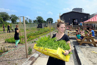 Bristol, Rotterdam und Zürich werden zu «essbaren Städten» <p>Herausforderungen, Potenziale und Möglichkeiten der nachhaltigen Lebensmittelproduktion und -versorgung der Stadt: Diesen Themen geht das EU-Projekt…</p>