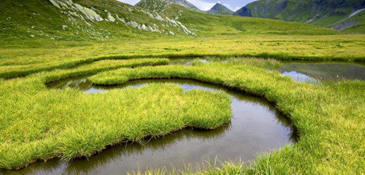 Laut Adrian Kräuchi, Lohnstorf,