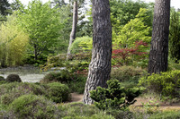 <p>Seit etlichen Jahren organisiert Christian Knobel, Obergärtner der Stadtgärtnerei Schaffhausen, für seine Arbeitskollegen Weiterbildungsreisen. Im…</p>