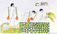 Bewässerung eines Gemüsegartens