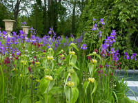 Anlässlich des praxisnahen