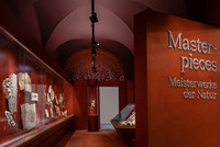 <p>Im Zoologischen und Paläontologischen Museum der Universität Zürich setzt die als Schatzkammer konzipierte Ausstellung «Masterpieces» 50 besonders…</p>