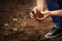 <p>Grünflächen sind heute weit mehr als ein gestalterisches Element. Sie prägen Städte und Gemeinden als Lebensräume, tragen wesentlich zur…</p>