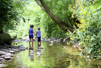 <p>In den nächsten Jahren soll rund ein Drittel der stark verbauten Fliessgewässer der Schweiz revitalisiert werden. Bei der Umsetzung des per 1. Januar…</p>