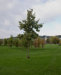 <p>Seit 1991 kürt die Zeitschrift Hochparterre jährlich die besten Bauten und Objekte in Architektur, Design und Landschaft. Das Rennen in der Kategorie…</p>