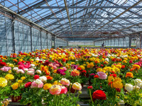 <p>Die Gärtnerei Huber im beschaulichen Waldhäusern wurde 1988 auf einer Gesamtfläche von über 20 000 m² gegründet. Das Familienunternehmen produziert…</p>