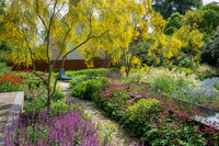 <p>Auf kleinen Grundstücken sind grosse Bäume meist schon aus gesetz­lichen Gründen unzulässig. Statt ihrer wird dann häufig zu Kleinbäumen gegriffen.…</p>