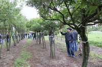 <p>Bei widrigen Wetterbedingungen fanden sich am 18. September 2013 rund 230 Fachleute in Rafz ein. Am Weiterbildungstag der Hauenstein AG hatten sie…</p>