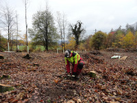 <p>Zerr- und Flaumeichen gehören unter den Bedingungen des Klimawandels zu den Baumarten mit Zukunft. Das Stadtforstamt der&nbsp;Stadt Baden startete hierzu…</p>