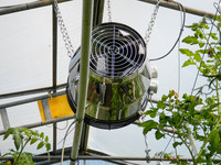 <p>Um Gewächshauskulturen optimale Bedingungen zu bieten, ist eine Summe von Klimatisierungsmassnahmen wie Heizen, Lüften, Schattieren, Befeuchten und…</p>