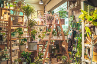 <p>Am 11. November 2022 wurden die Taspo-Awards 2022 im feierlichen Rahmen im Grand Hyatt Berlin verliehen. Unter den Preisträgern in den Rubriken…</p>