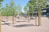 Basels Stadtgärtnerei jubiliert: Herz, Hand und Auge fürs Stadtgrün <p>Der 190000 Einwohner zählende Stadtkanton Basel feiert mit vielen, über das Jahr verteilten Anlässen das 150-Jahre-Jubiläum seiner Stadtgärtnerei.…</p>