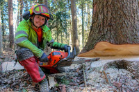 Ausbildung im Sinne der Nachhaltigkeit <p>Ein Drittel der Fläche der Schweiz ist bewaldet. Damit der Wald seine vielfältigen Aufgaben erfüllen kann, muss er fachkundig und vor allem auch…</p>