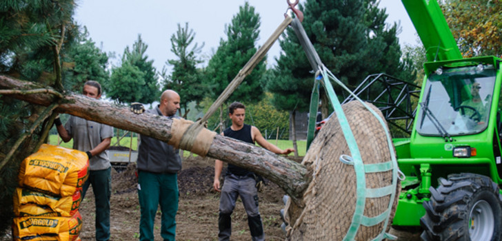 Die Rundschlinge bildet zusammen