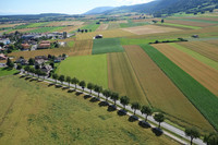 <p>Das Interesse an den Landschaftsqualitätsprojekten ist gross: im ersten Jahr wurden bereits 71 Projekte aus 25 Kantonen eingereicht und vom Bundesamt…</p>