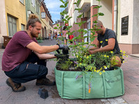 Optische Highlights – auch zur Verkehrsberuhigung  <p>Im Rahmen des Projekts «Grünes Geisenheim» wurden im August 2019 entlang eines Strassenzugs farbige Pflanztaschen platziert.</p>