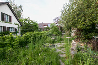 <p>Im urbanen Raum leben zumeist mehr Tier- und Pflanzenarten als in der freien Landschaft. Das liegt daran, dass die Flächen im Siedlungsraum gemeinhin…</p>