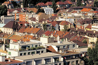 Lokales Wissen für mehr Grün im Basler Gundeldinger-Quartier <p>Das Gundeldinger-Quartier ist derzeit ein Hotspot der Stadtentwicklung in Basel. Jetzt soll der dicht bebaute Stadtteil grüner werden. Das ist das…</p>