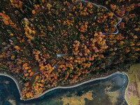 <p>Eine neue Langzeitstudie kommt zum Schluss, dass Waldböden mehr Methan der Atmosphäre entziehen können, als bisher angenommen. Trockene…</p>