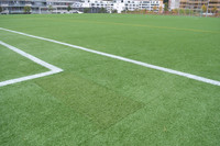 <p>Fussballplätze gelten im Sportanlagenbau als das teuerste «Sportgerät». Da die Fussballclubs derzeit einen sehr guten Zulauf haben, fehlen vielerorts…</p>