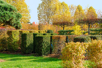 <p>Baumschulbesuche sind für jeden Pflanzenliebhaber eine grosse Freude. Sie zählen sowohl für Planende als auch für Gartenbauer zum beruflichen…</p>