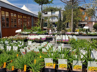 <p>Das Kaufverhalten der Kundschaft hat sich gewandelt. Die Konsumentin bzw. der  Konsument geht verstärkt zu Randzeiten in den Supermarkt oder kauft…</p>