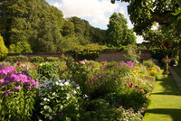 <p>Schlanke, majestätische Rot­buchen, die eine stattliche Höhe von 40 Metern erreicht haben, umgeben das gesamte, insgesamt 14 Hektar grosse Anwesen des…</p>