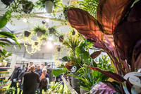 <p>1564 Aussteller, 45 Nationen, 54 000 Fachbesucher. Mit diesen Zahlen und den Schlagworten «grün, gross, genial» wirbt die IPM Essen 2019 um die Gunst…</p>