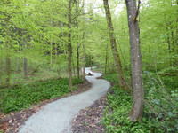 Grün Stadt Zürich eröffnet Allmend-Biketrail  <p>Mit der Eröffnung des Allmend Biketrails von Grün Stadt Zürich am 13. Mai am Uetliberg wurde das im städtischen Mountainbikekonzept vorgesehene…</p>