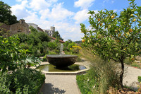 <p>Vor genau 400 Jahren, im Jahr 1613, erschien das Kupferstichwerk «Hortus Eystettensis» mit seinen grossformatigen Pflanzenporträts – ein Anlass für…</p>