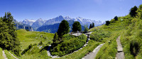 Der Alpengarten Schynige