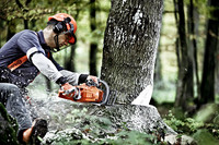 <p>Professionelle Motorsägen für universelle Einsätze meistern die Balance zwischen Gewicht und Leistung, Komfort und Robustheit. Zeitgemässe Motoren…</p>