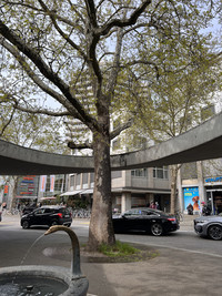 <p>Ein Weiterbildungstag der Ostschweizer Fachhochschule OST Mitte April rückte den Baum ins Zentrum rechtlicher Fragestellungen. Welche Gesetze gelten…</p>