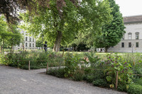 <p>Mehr Grün, neue Aufenthaltsbereiche und eine Kulturfläche prägen den sanierten Stadtgarten Winterthur. Zugleich bindet die Stadt die Anlage stärker an…</p>