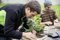 <p>Neuer Lagerort – neue Herausforderungen in der Projekt­woche der Gärtnerlernenden 1. Lehrjahr der Berufsschule Wetzikon. Zum ersten Mal wurde die…</p>