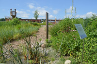 <p>Zum Campus Grüental der Zürcher Hochschule in Wädenswil (ZHAW), Institut für Umwelt und Natürliche Ressourcen, gehört eine 8 ha grosse Gartenanlage.…</p>