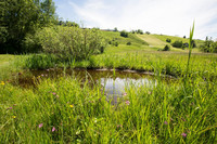 <p>Alle zwei Jahre prämieren Pro Natura und die Emanuel und Oscar Beugger-Stiftung ein herausragendes Naturschutzprojekt mit dem Beugger-Preis. 2014…</p>
