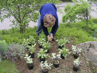 <p>Verschiedene Institutionen in der Schweiz bilden Lernende mit einem Handicap aus, unter anderem die Valida in St. Gallen, eine Lehr- und…</p>