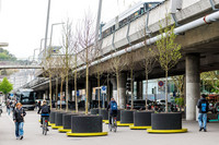 <p>Nach dem Auftakt des Programms Stadtgrün im Sommer 2025 stehen seit Mitte April wieder 50 Jungbäume temporär an vier öffentlichen Plätzen der Stadt…</p>