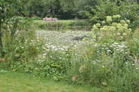 Bepflanzungsbeispiel von