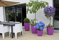 <p>Pflanzgefässe boomen vor allem mit Ausführungen für Gärten, Balkon und Terrasse. Das hängt mit der neuen Nutzung dieser Aussenflächen zusammen.…</p>