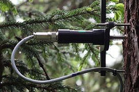 <p>Bäume wachsen anders als bislang angenommen. Das zeigt eine Langzeitstudie unter Leitung der Eidgenössischen Forschungsanstalt Wald Schnee und…</p>