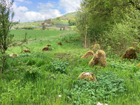 <p>Die Vernetzung von ökologisch wertvollen Lebensräumen und die Schaffung von Korridoren für Wildtiere bilden einen wichtigen Beitrag zur Biodiversität…</p>