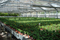 <p>Am Wochenende vom 26. und 27. Mai 2018 findet im Berufsbildungszentrum Niederlenz (Gartenbauschule Niederlenz) die Derniere statt – ein Besuch lohnt…</p>