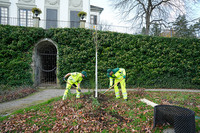<p>Der Geschäftsbericht 2025 von Grün Stadt Zürich macht deutlich, welchen Stellenwert klimaangepasste Freiräume und Stadtbegrünung in Zürich einnehmen.…</p>